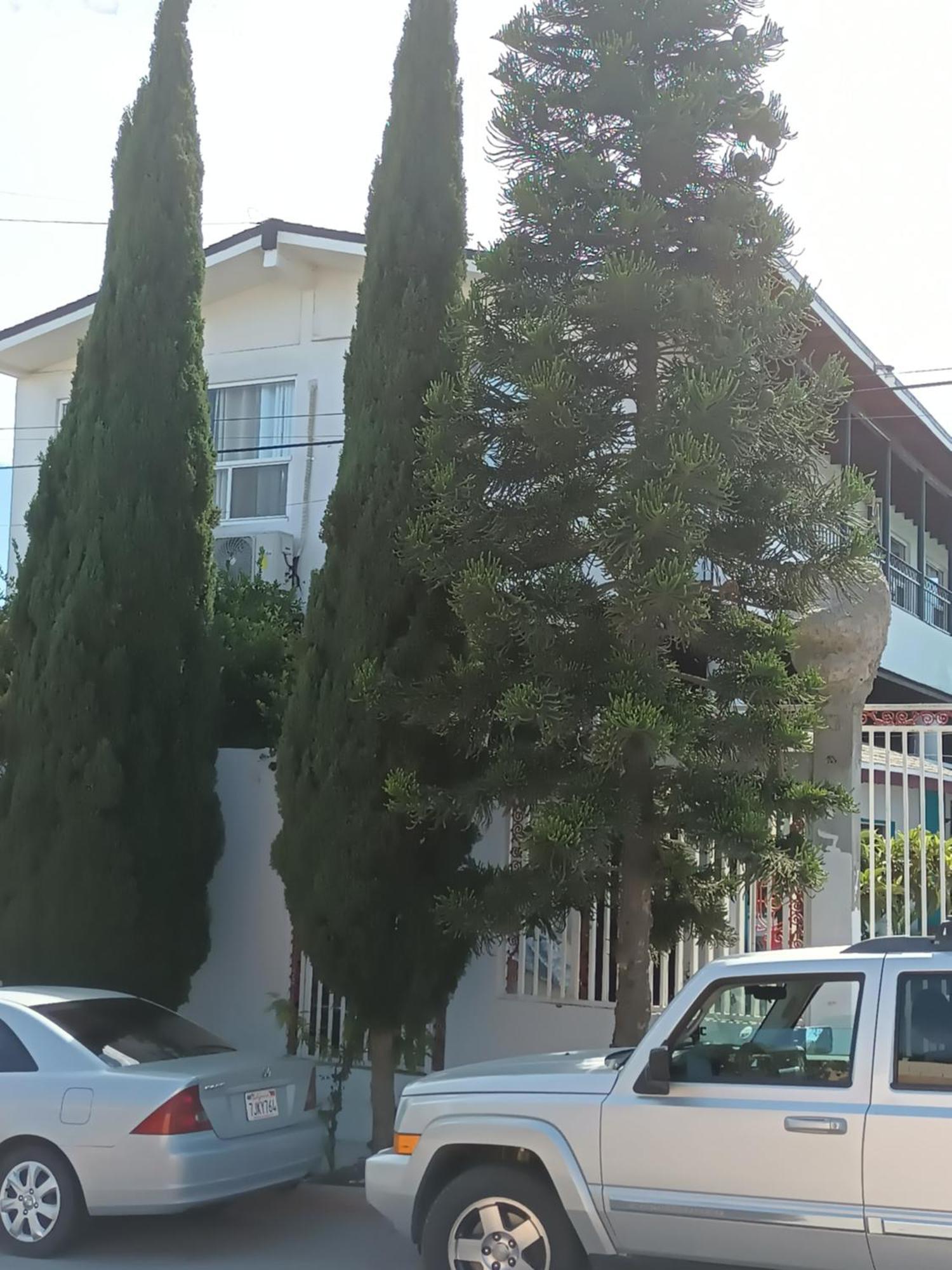Apartamentos Rosarito.!! Con Vista Al Mar ! 외부 사진
