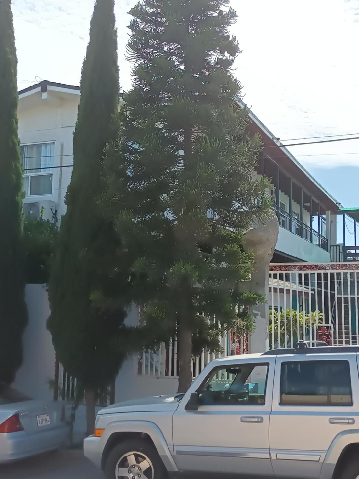 Apartamentos Rosarito.!! Con Vista Al Mar ! 외부 사진